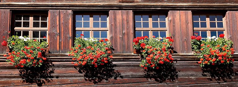 Impression aus Langnau im Emmental | Regionalmuseum Chüechlihus